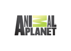 Animal Planet